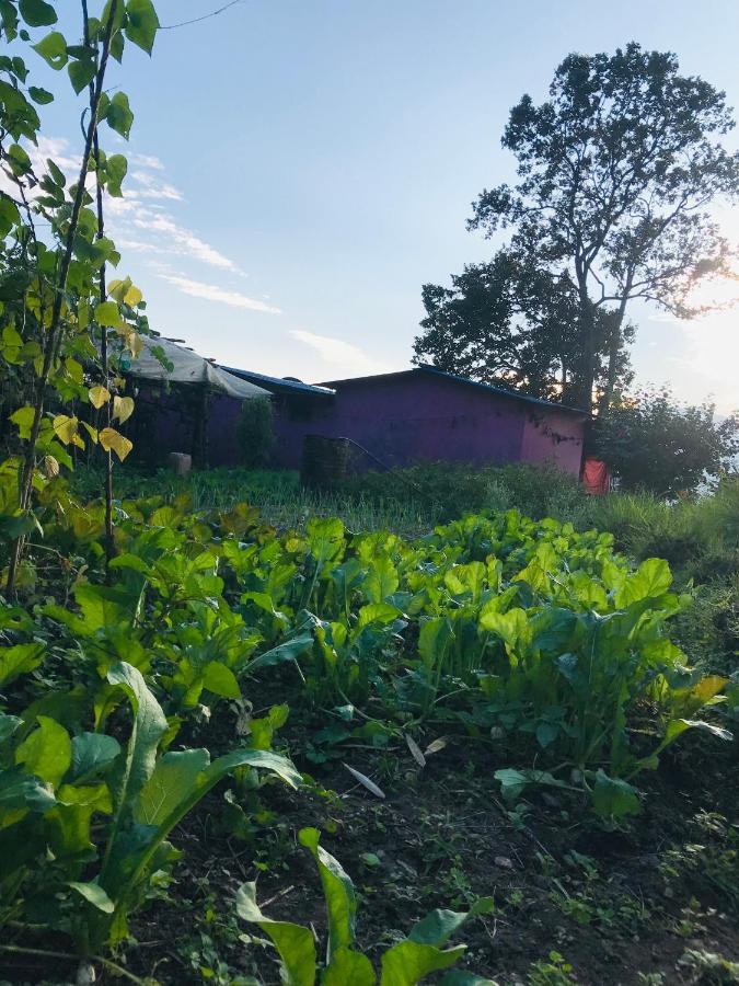 Hom'S Homestay & Farmstay Sarangkot Pokhara Exteriör bild