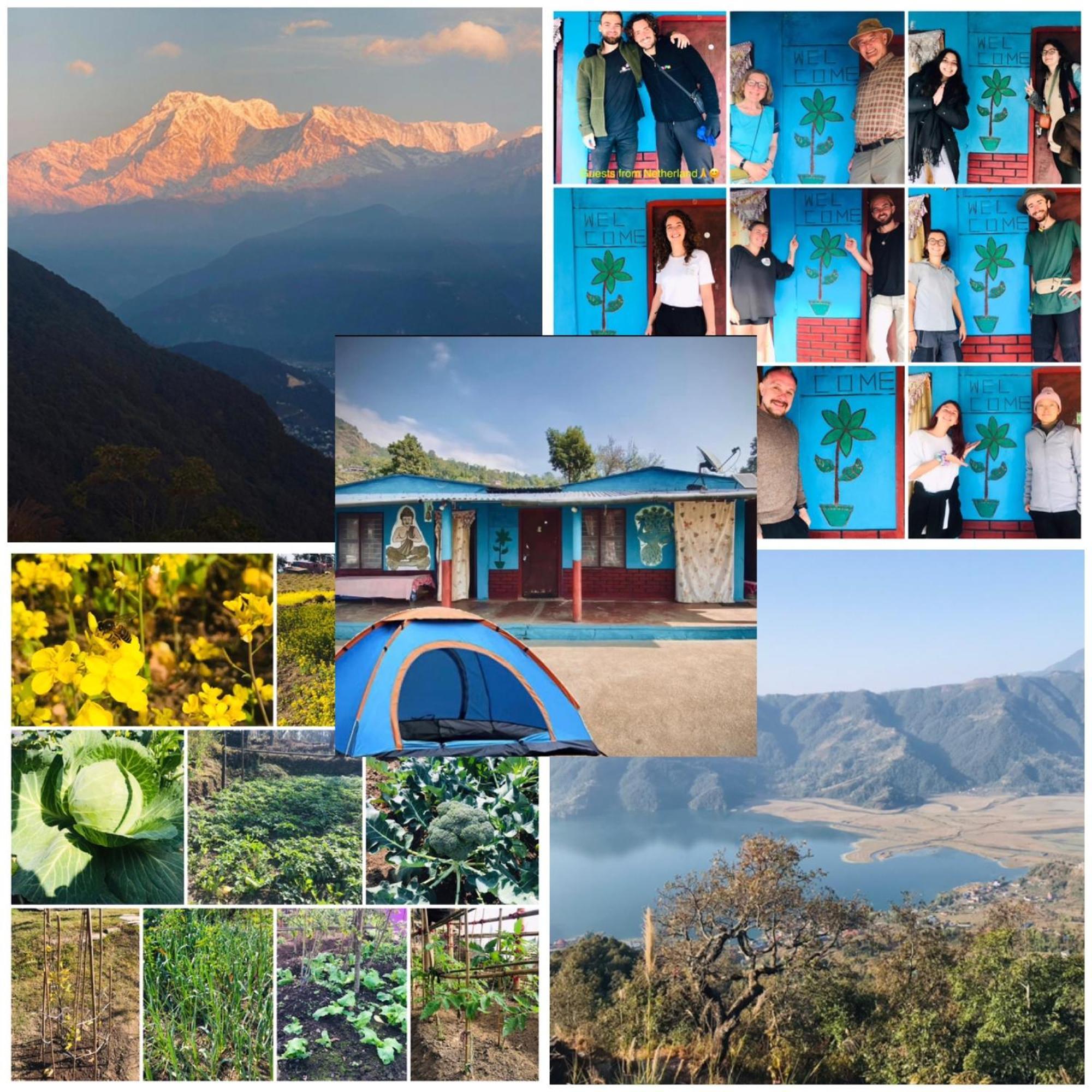 Hom'S Homestay & Farmstay Sarangkot Pokhara Exteriör bild